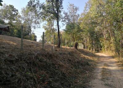 Land for sale 1 Rai 3 Ngan 80 Sqw at Mae Pong Doisaket Chiangmai