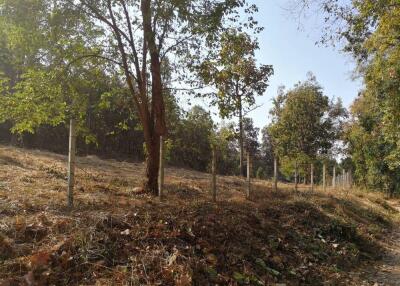 Land for sale 1 Rai 3 Ngan 80 Sqw at Mae Pong Doisaket Chiangmai