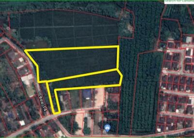 Nature in the city! Rice field land for sale near Mae Jo University, Sansai, Chiang Mai