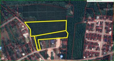 Nature in the city! Rice field land for sale near Mae Jo University, Sansai, Chiang Mai