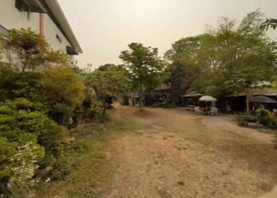 Land For Sale  208 Sqw at Sansai Chiangmai