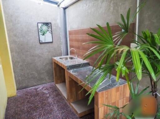 Small kitchen with a marble countertop and indoor plants