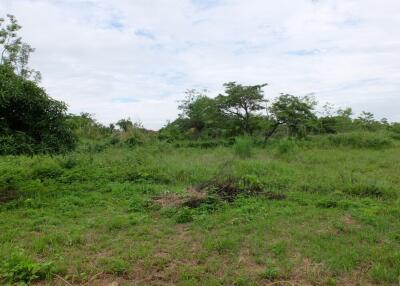 Land 3 Rai 2 Ngan 35 Sqw For Sale at Nonghan Sansai Chiangmai