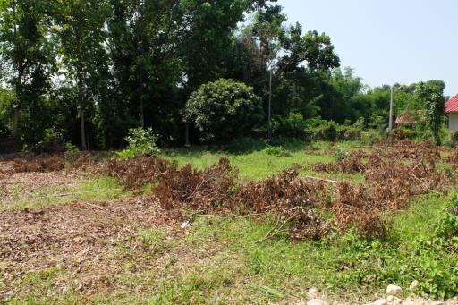 Land For Sale in Sansai Chiang Mai 350 wah