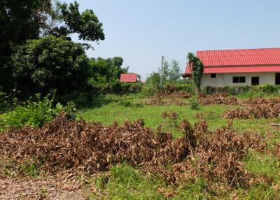 Land For Sale in Sansai Chiang Mai 350 wah