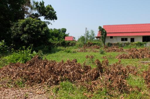 Land For Sale in Sansai Chiang Mai 350 wah