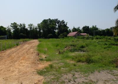 Land For Sale in Sansai Chiang Mai 350 wah