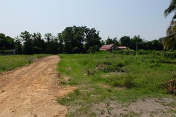 Land For Sale in Sansai Chiang Mai 350 wah