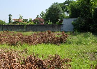 Land For Sale in Sansai Chiang Mai 350 wah