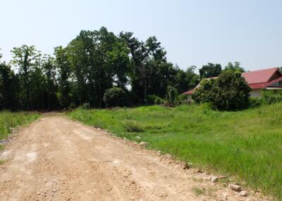 Land For Sale in Sansai Chiang Mai 350 wah