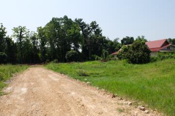 Land For Sale in Sansai Chiang Mai 350 wah