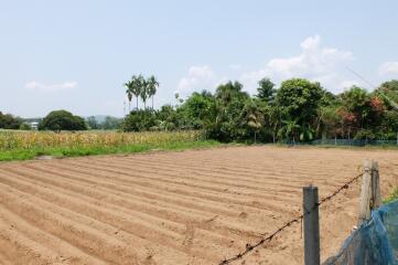 Land Mae Faek Mai Sansai For Sale Over 5 Rai