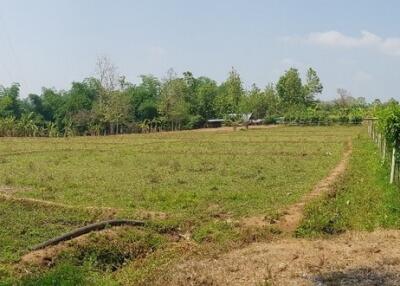 Land For Sale 5 Rai Mae On San Kamphaeng Chiang Mai