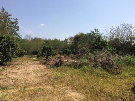 Land For Sale 2 Rai Namprae Hangdong Chiangmai