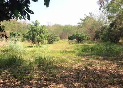 Land For Sale 2 Rai Namprae Hangdong Chiangmai