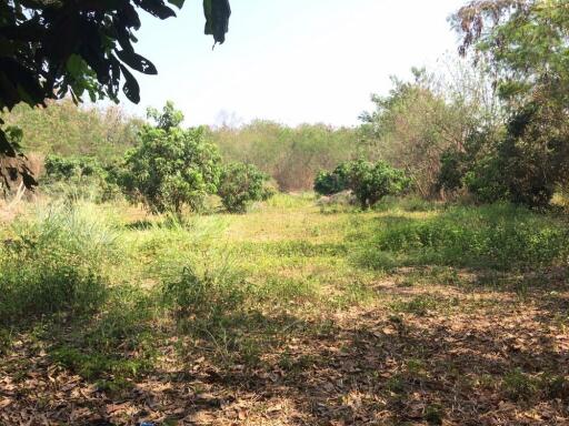 Land For Sale 2 Rai Namprae Hangdong Chiangmai