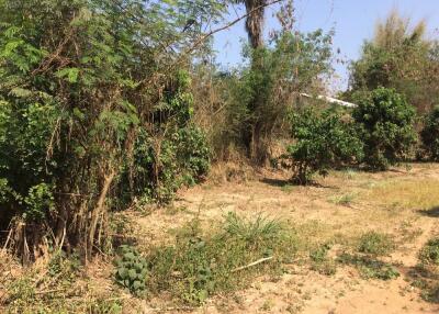 Land For Sale 2 Rai Namprae Hangdong Chiangmai