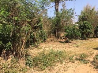 Land For Sale 2 Rai Namprae Hangdong Chiangmai