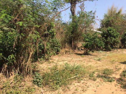 Land For Sale 2 Rai Namprae Hangdong Chiangmai