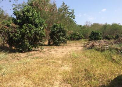 Land For Sale 2 Rai Namprae Hangdong Chiangmai