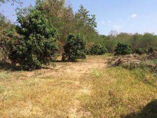 Land For Sale 2 Rai Namprae Hangdong Chiangmai