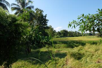 Land 3 Rai 2 Ngan 16 Sqw For Sale at Paphai Sansai Chiangmai