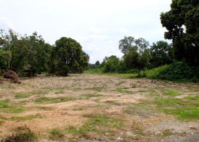 Land 4 Rai 2 Ngan 35 Sqw at Doisaket Chiangmai