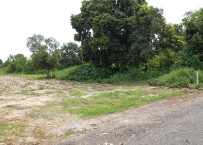 Land 4 Rai 2 Ngan 35 Sqw at Doisaket Chiangmai