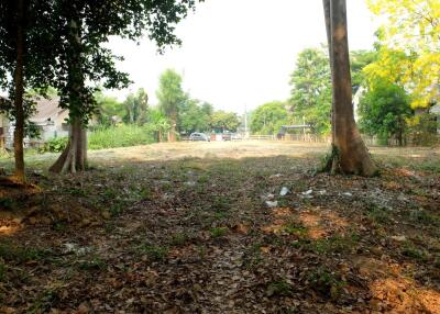 Land For Sale 347 sqw near Promenada Resort Mall Chiang Mai