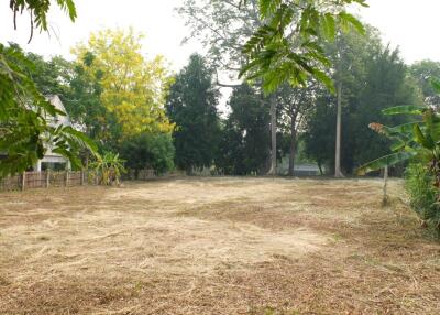 Land For Sale 347 sqw near Promenada Resort Mall Chiang Mai