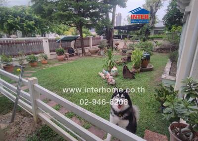 Well-maintained garden with various plants and lawn decorations