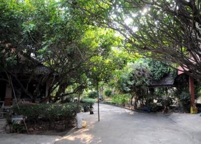 Elegant Comtemporary Thai Teak Home For Sale Large Land Mae Rim Chiang Mai