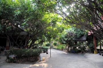 Elegant Comtemporary Thai Teak Home For Sale Large Land Mae Rim Chiang Mai