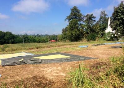 Large Plot of Land Nearly 6 Rai For Sale in Sansai Chiang Mai