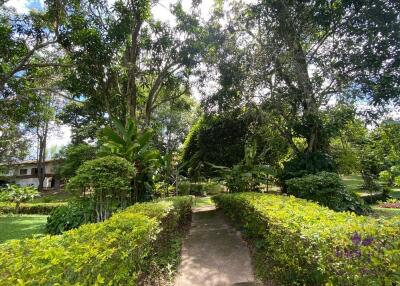 Lovely 1-2 bedrooms split level home amongst trees. The house is on a large property in Mae Rim with a few other houses. Mae Rim Chiang Mai