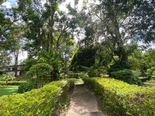 Lovely 1-2 bedrooms split level home amongst trees. The house is on a large property in Mae Rim with a few other houses. Mae Rim Chiang Mai