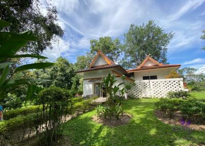 Lovely 1-2 bedrooms split level home amongst trees. The house is on a large property in Mae Rim with a few other houses. Mae Rim Chiang Mai