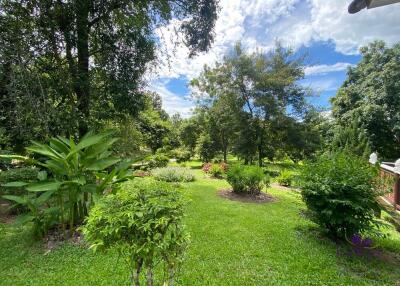 Lovely 1-2 bedrooms split level home amongst trees. The house is on a large property in Mae Rim with a few other houses. Mae Rim Chiang Mai