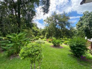 Lovely 1-2 bedrooms split level home amongst trees. The house is on a large property in Mae Rim with a few other houses. Mae Rim Chiang Mai