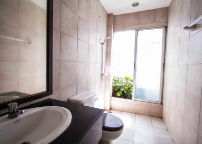 Modern bathroom with large window and indoor plant