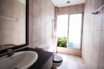 Modern bathroom with large window and indoor plant