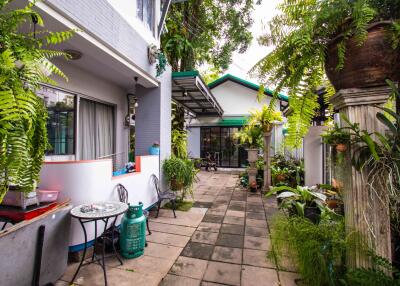 Green and lush garden with patio seating