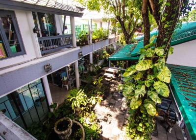 Courtyard with greenery and buildings