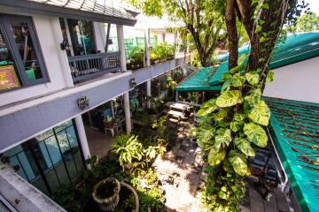 Courtyard with greenery and buildings