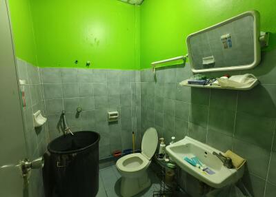 Bathroom with bright green walls, a toilet, sink, and various toiletries