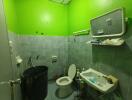 Bathroom with bright green walls, a toilet, sink, and various toiletries