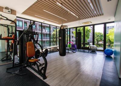 Modern gym with large windows and fitness equipment