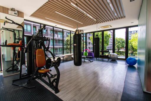 Modern gym with large windows and fitness equipment