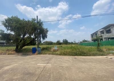 Empty lot with nearby buildings and a tree