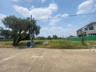 Empty lot with nearby buildings and a tree